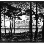 M.C. Escher 5